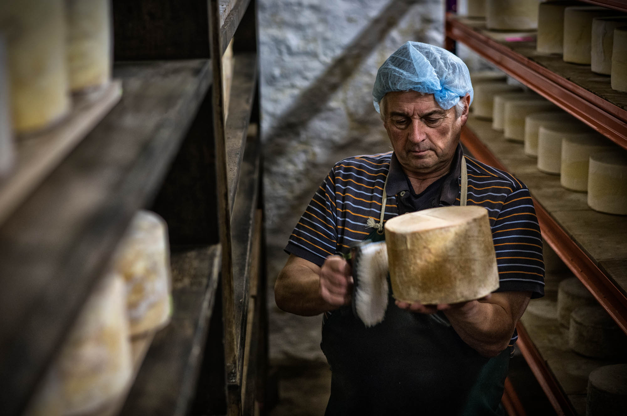 Cheese maker