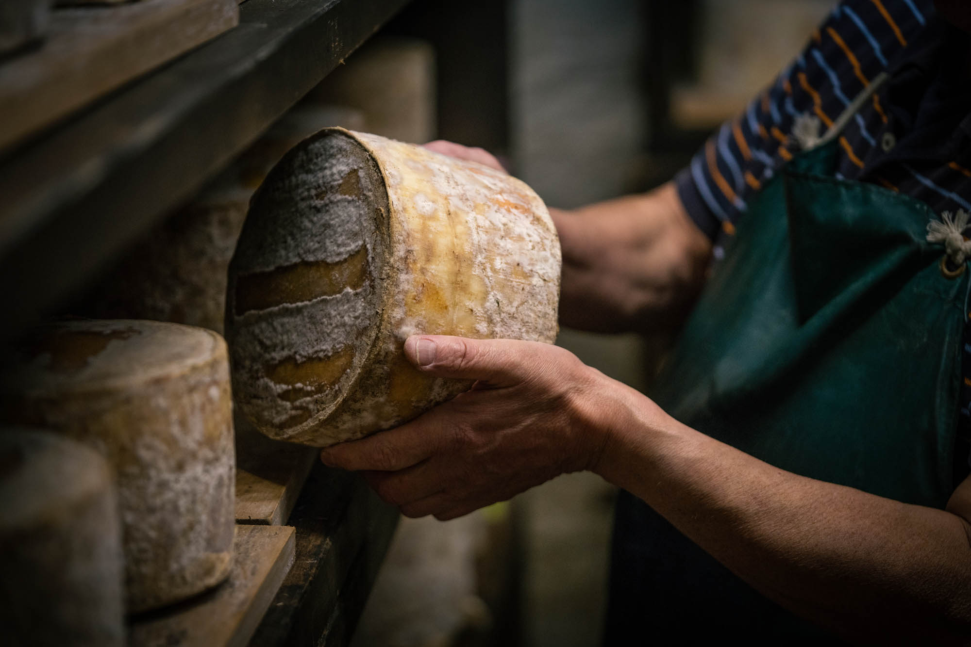 Cheese maker